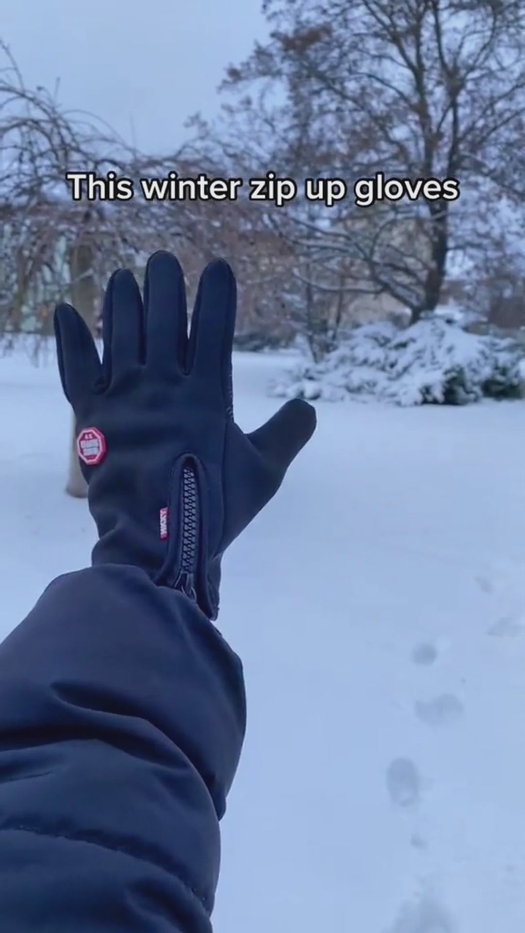 Winter Gloves Touch Screen Waterproof video